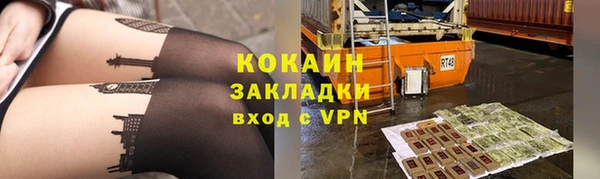 шишки Богородицк