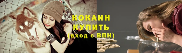 шишки Богородицк