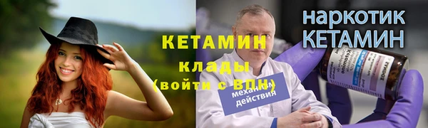 шишки Богородицк