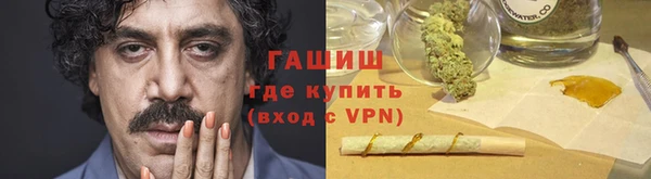 шишки Богородицк
