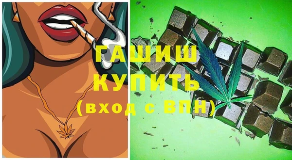 шишки Богородицк